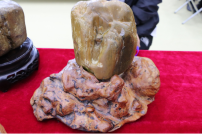 石韻煤魂，魅力海倫——首屆奇石文化旅游節(jié)盛大開(kāi)幕，焦炭產(chǎn)業(yè)與文化盛宴交相輝映